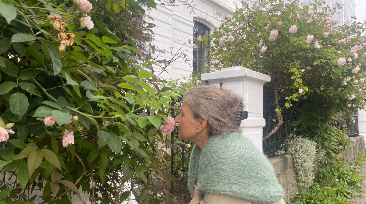 An older woman with grey hair, in a soft green knitted wrap, pausing to smell pink roses growing over a garden railing in the morning.