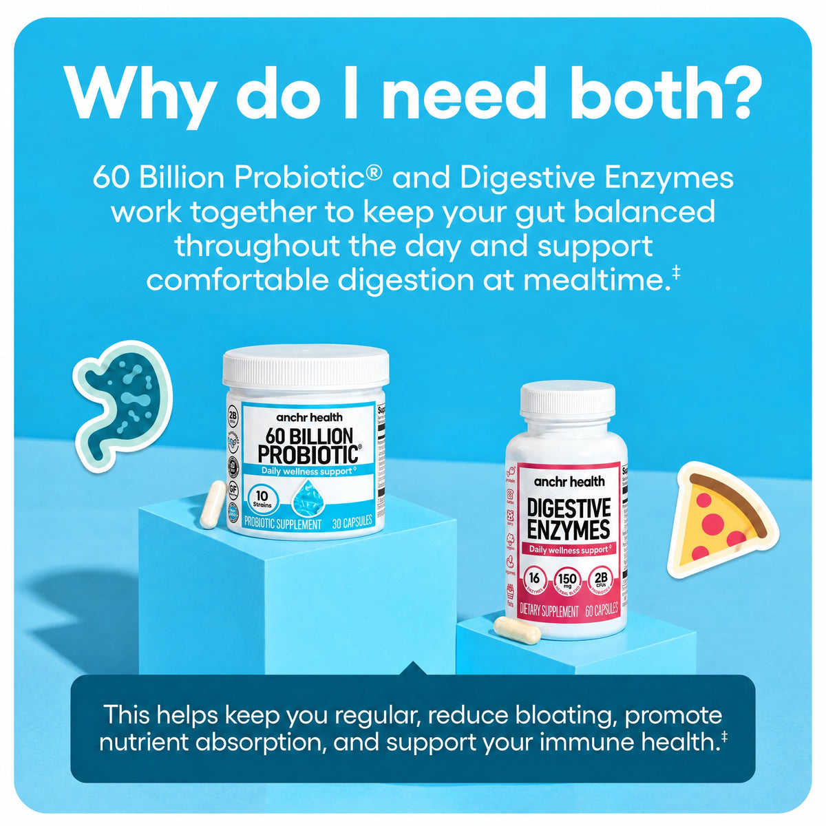 Anchr Hack Your Tummy — Digestive Support Duo